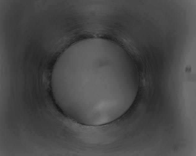 X0000091540030200708311342