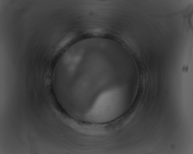 X0000091540032200708311342