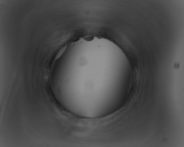 X0000091540033200708311342