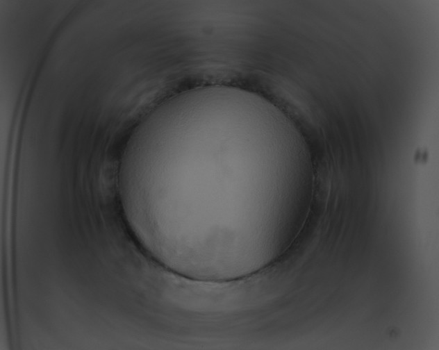 X0000091540034200708311342