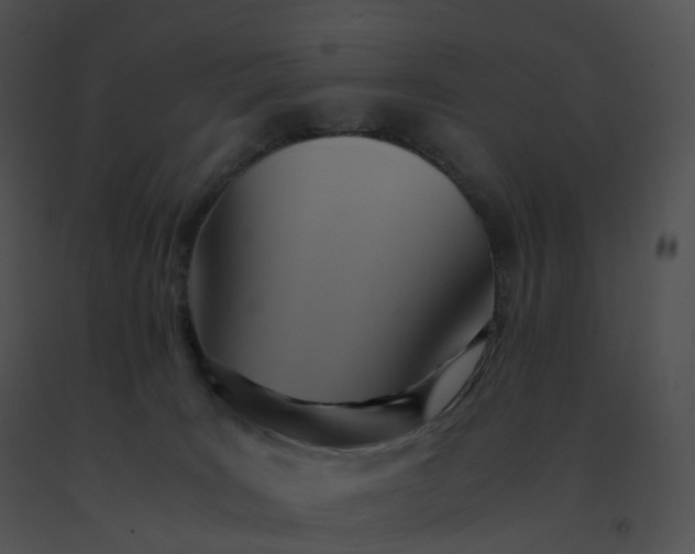 X0000091540035200708311342