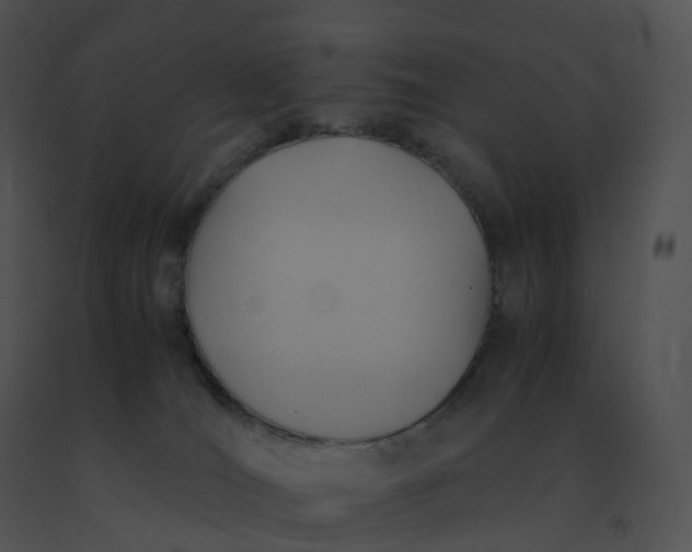 X0000091540036200708311342