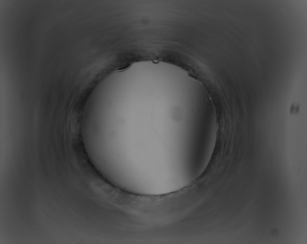 X0000091540037200708311342