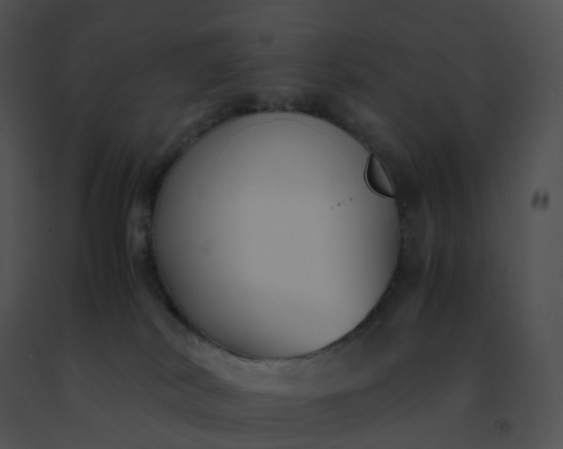 X0000091540038200708311341