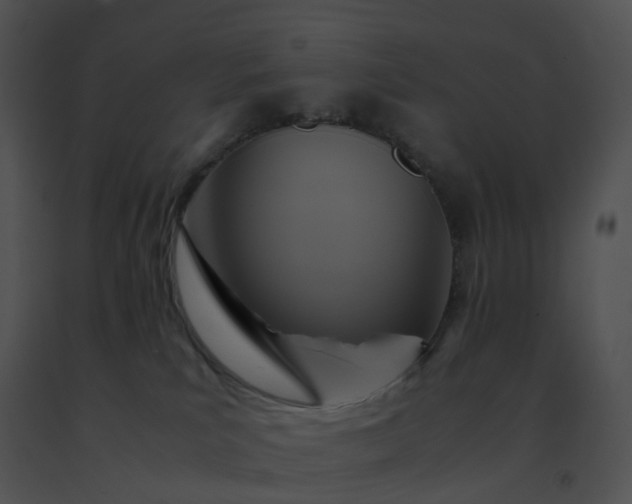 X0000091540039200708311341