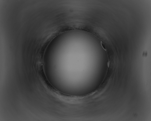 X0000091540040200708311341