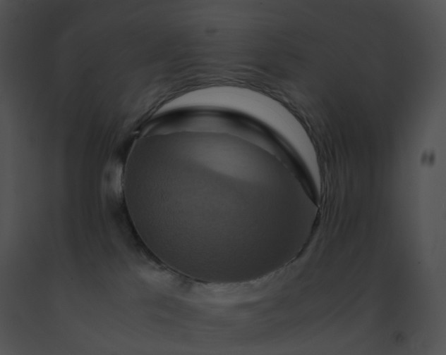 X0000091540041200708311341