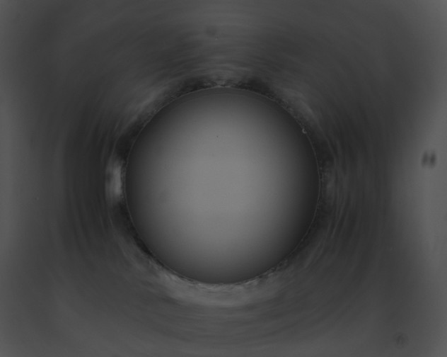 X0000091540042200708311341