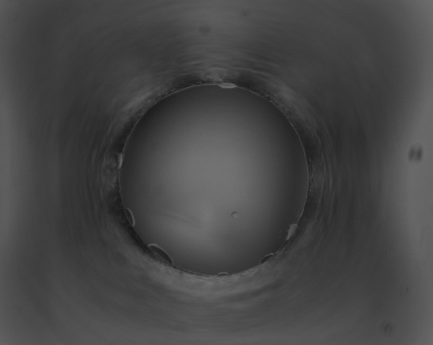 X0000091540043200708311341