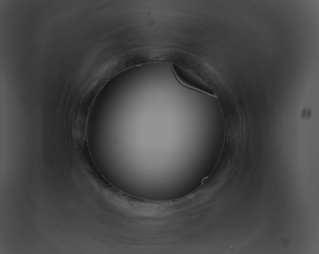 X0000091540044200708311341