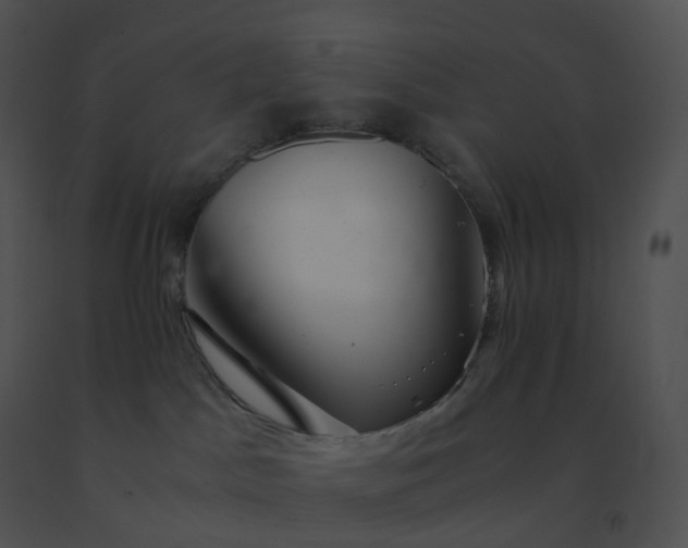 X0000091540045200708311341