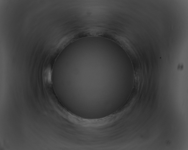 X0000091540046200708311341