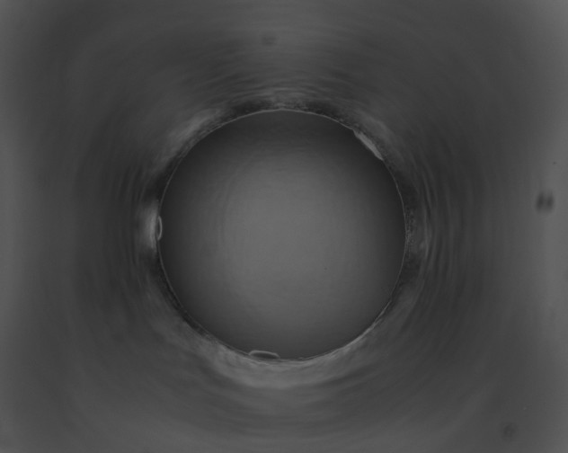 X0000091540047200708311341