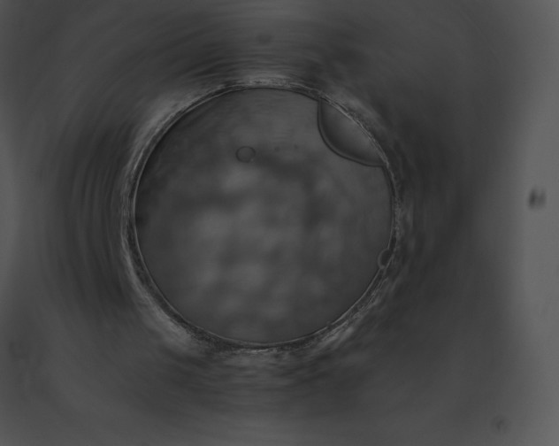 X0000091540049200708311341