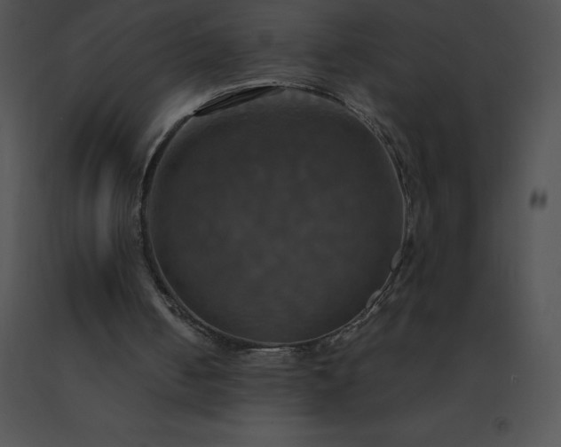 X0000091540050200708311341