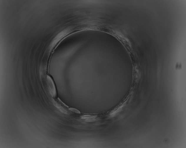 X0000091540051200708311341