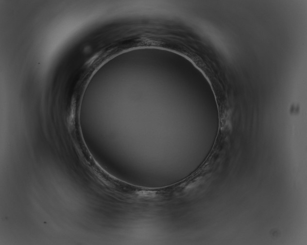 X0000091540052200708311341