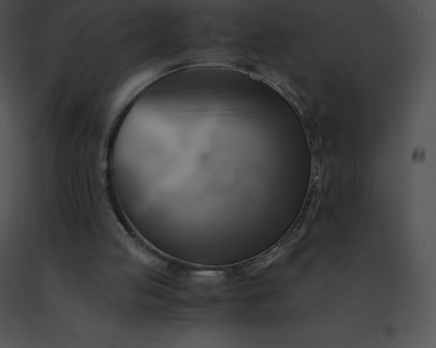 X0000091540053200708311341