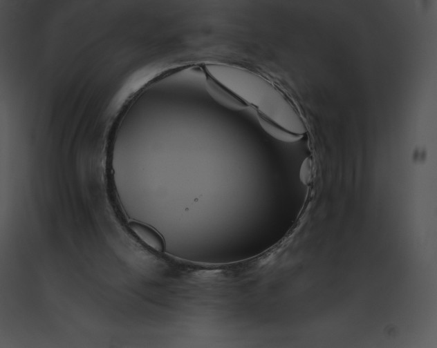 X0000091540054200708311341