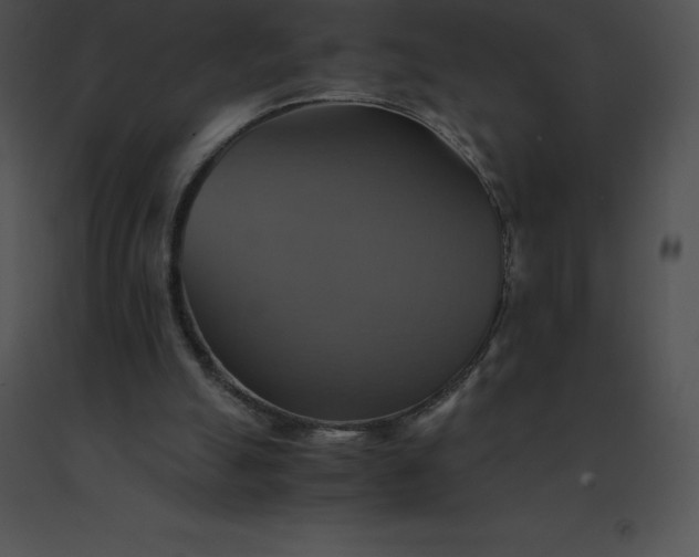 X0000091540055200708311341