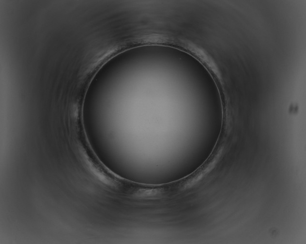 X0000091540057200708311341