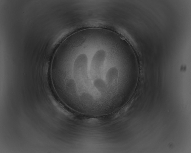 X0000091540058200708311341