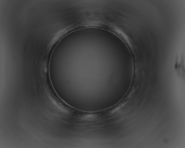 X0000091540059200708311341