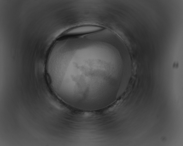 X0000091540060200708311341