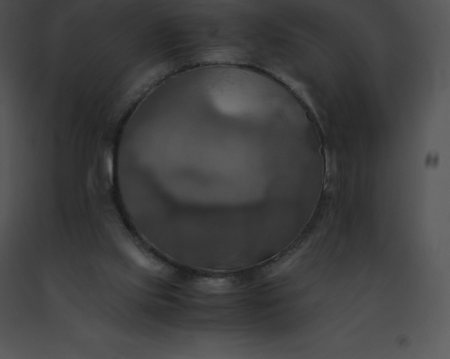 X0000091540061200708311341