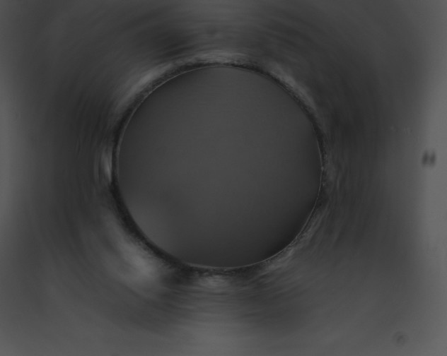 X0000091540062200708311341