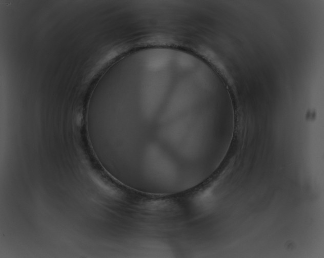 X0000091540063200708311341