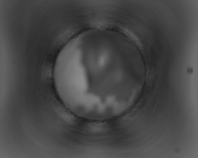 X0000091540065200708311341