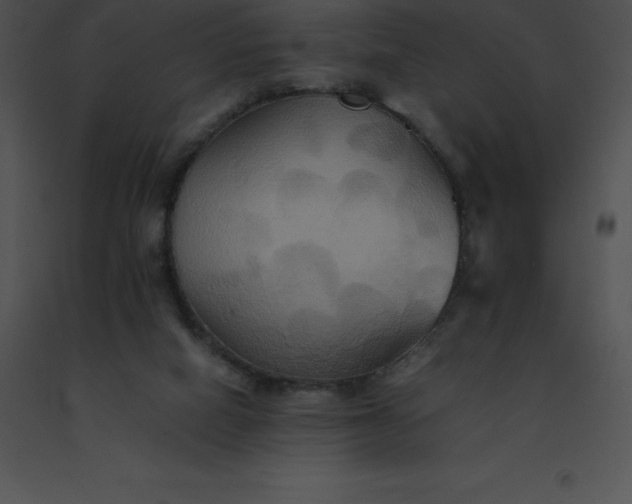 X0000091540066200708311341