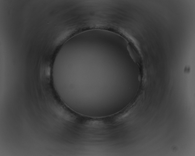 X0000091540067200708311341