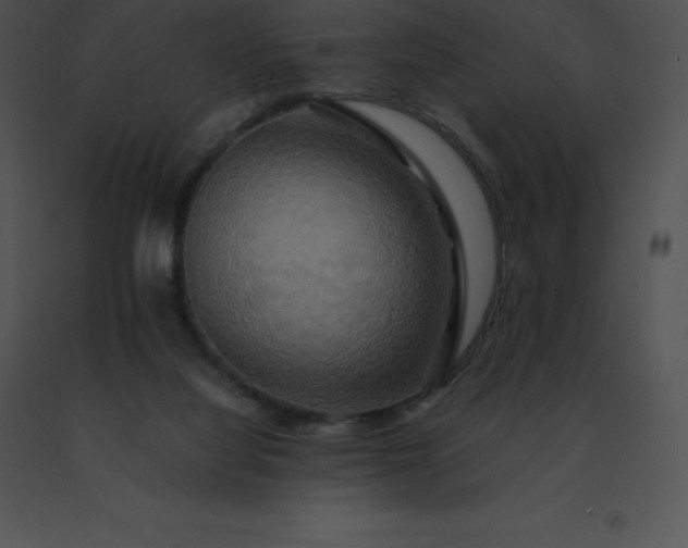 X0000091540068200708311341