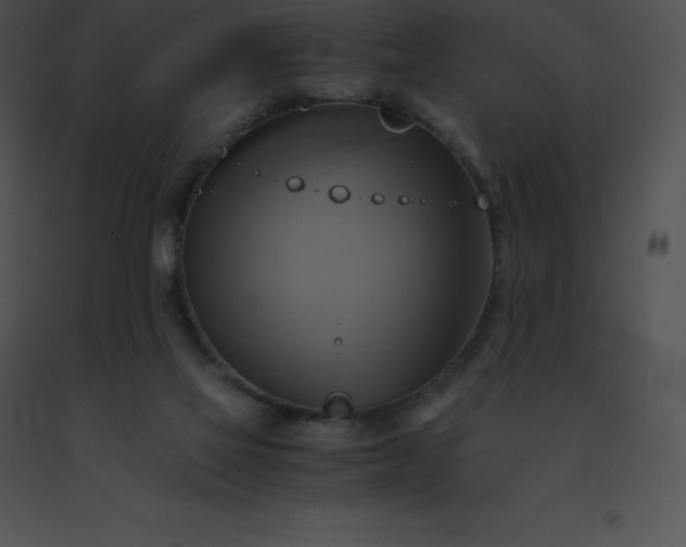 X0000091540069200708311341