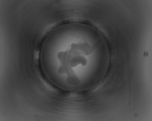 X0000091540070200708311341