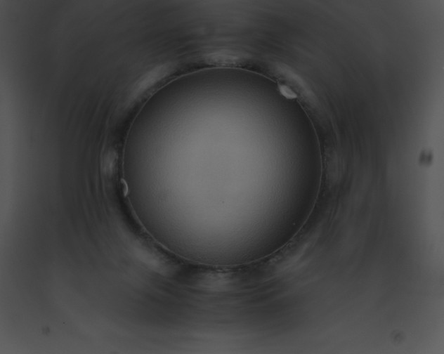 X0000091540071200708311341