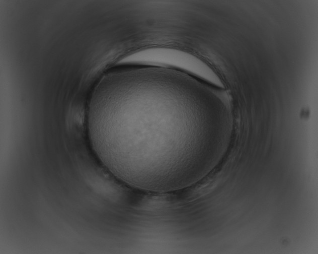 X0000091540072200708311341