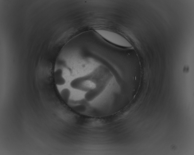 X0000091540073200708311341