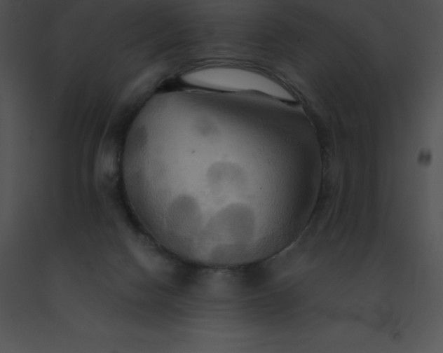 X0000091540074200708311341