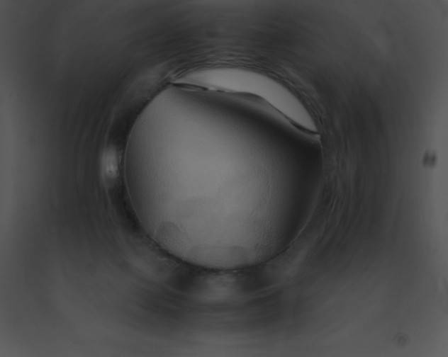 X0000091540075200708311341