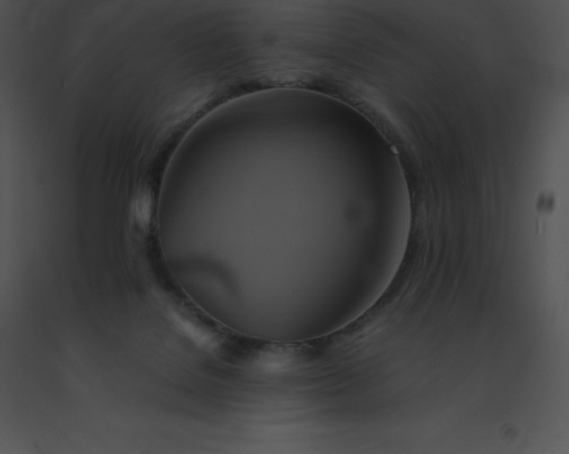 X0000091540076200708311341