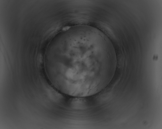 X0000091540077200708311341