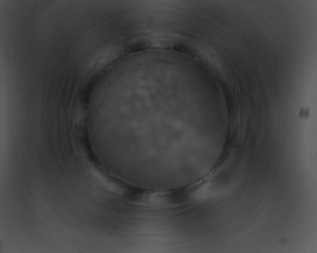 X0000091540078200708311341