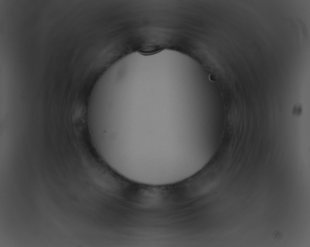 X0000091540079200708311341