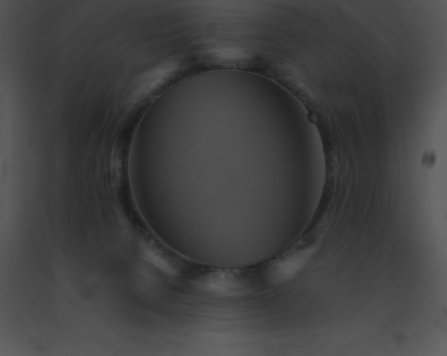 X0000091540080200708311341