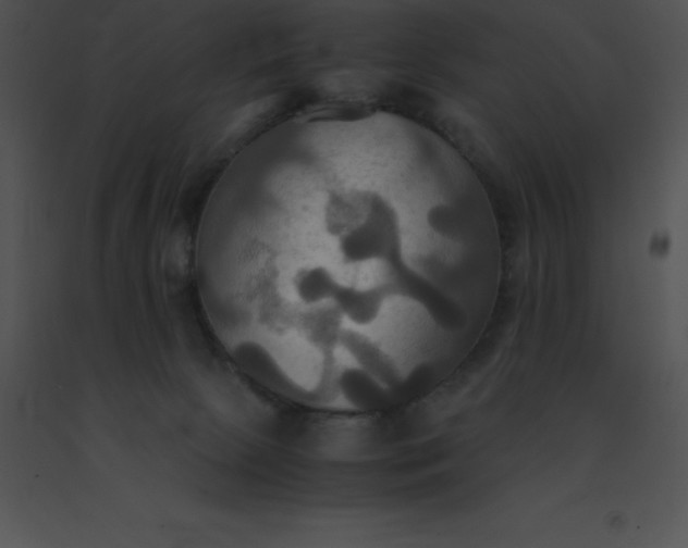 X0000091540081200708311341