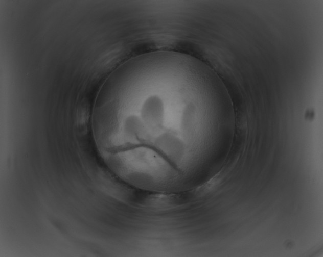 X0000091540082200708311341