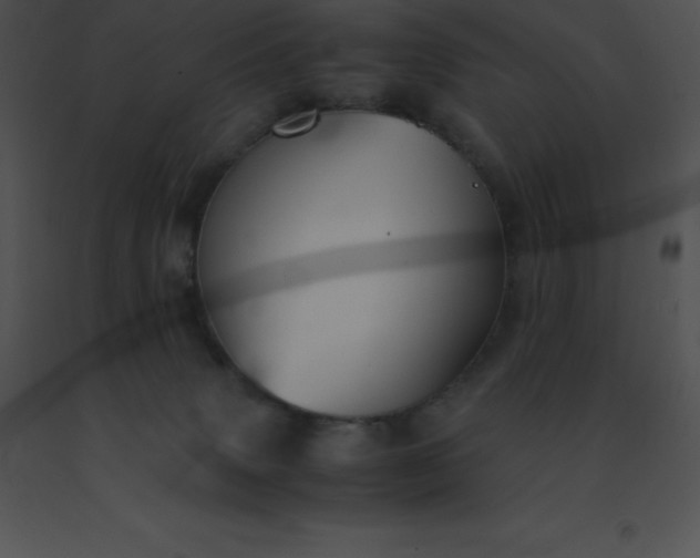 X0000091540083200708311341